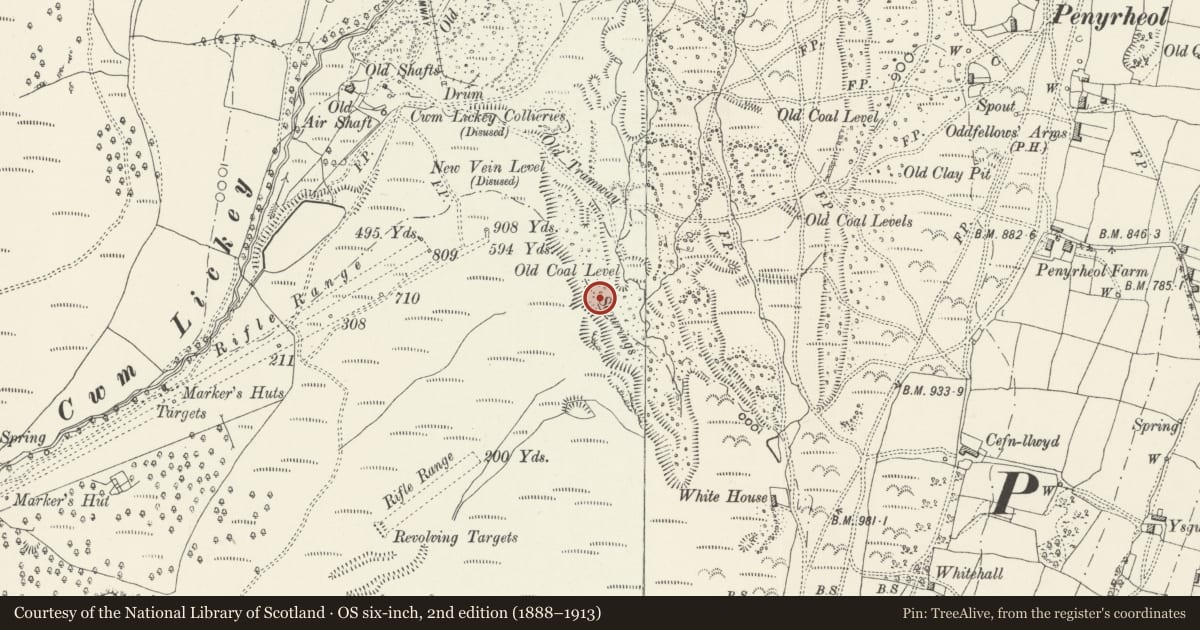 Ordnance Survey six-inch map, 2nd edition (1888–1913) covering the location of Iron Ore Scours at Upper Race, Pontypool, Upper Cwmbran, Torfaen, with a pin at the register's coordinates
