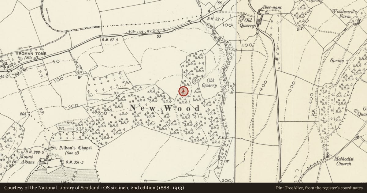 Ordnance Survey six-inch map, 2nd edition (1888–1913) covering the location of Abernant Roman Kiln, Caerleon, Newport, with a pin at the register's coordinates