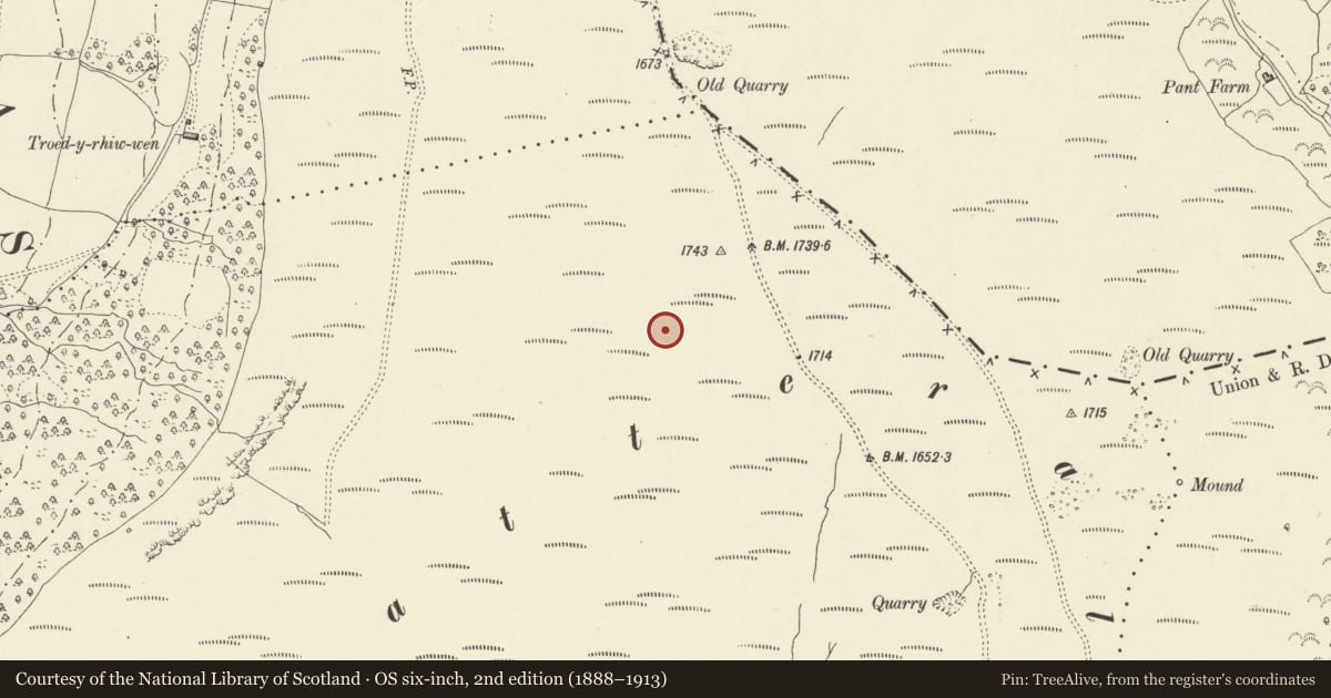 Ordnance Survey six-inch map, 2nd edition (1888–1913) covering the location of Hatterrall Hill Enclosure, Crucorney, Monmouthshire, with a pin at the register's coordinates