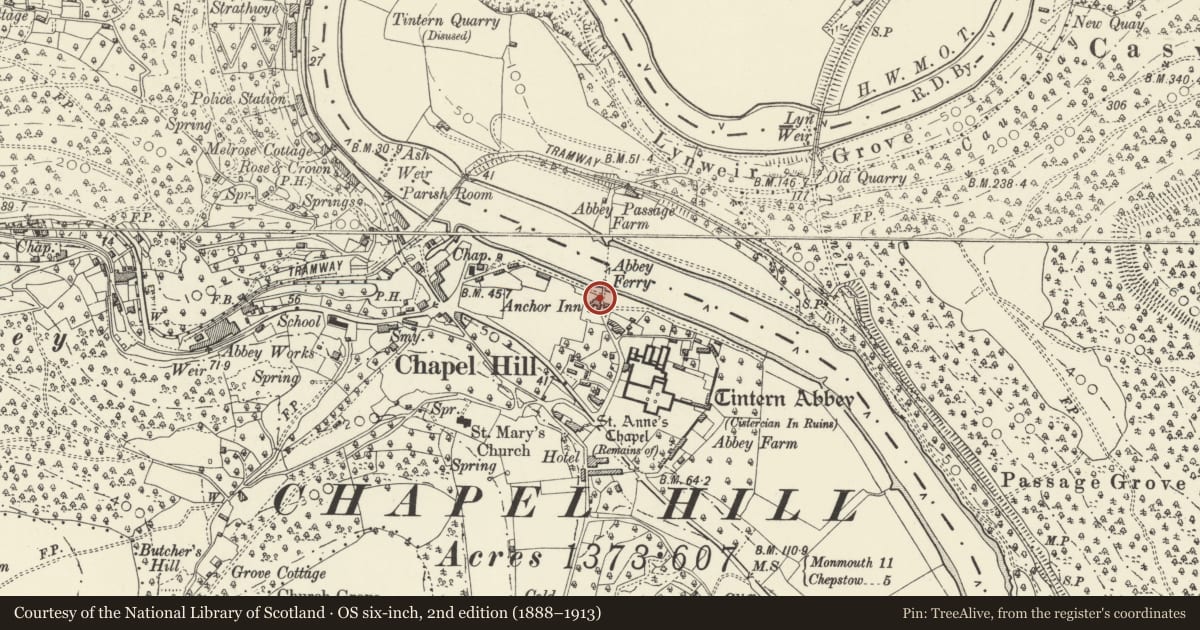 Ordnance Survey six-inch map, 2nd edition (1888–1913) covering the location of Tintern Abbey, Watergate, Wye Valley, Monmouthshire, with a pin at the register's coordinates
