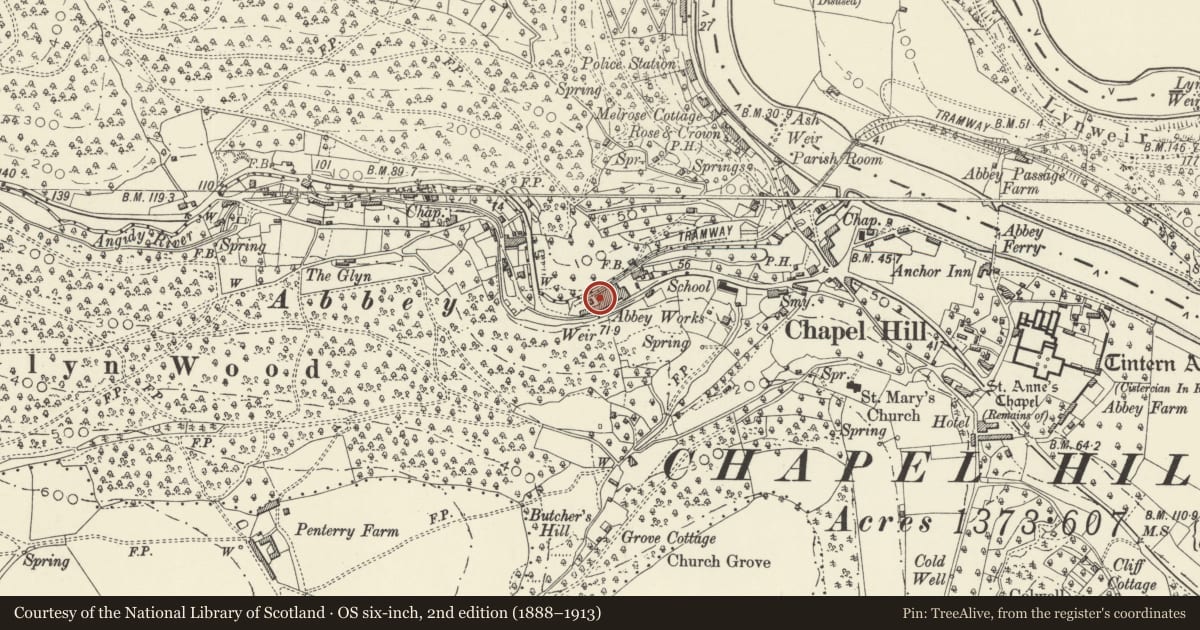 Ordnance Survey six-inch map, 2nd edition (1888–1913) covering the location of Lower or Abbey Wireworks, Tintern, Wye Valley, Monmouthshire, with a pin at the register's coordinates