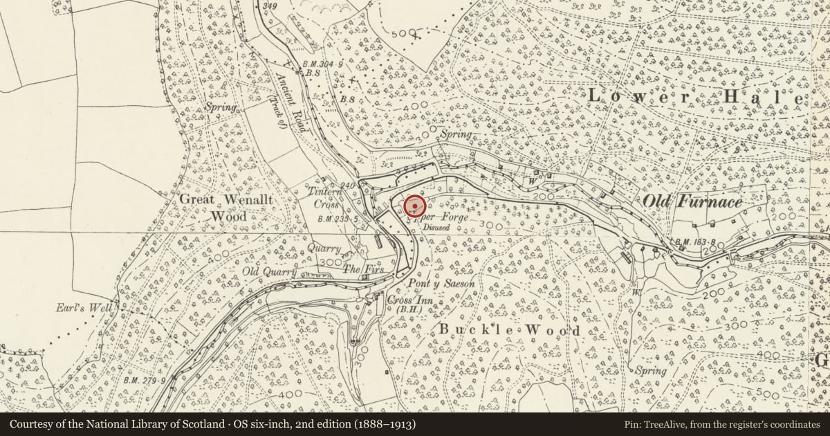 Ordnance Survey six-inch map, 2nd edition (1888–1913) covering the location of Tintern Upper Wireworks (New Tongs Mill), Wye Valley, Monmouthshire, with a pin at the register's coordinates
