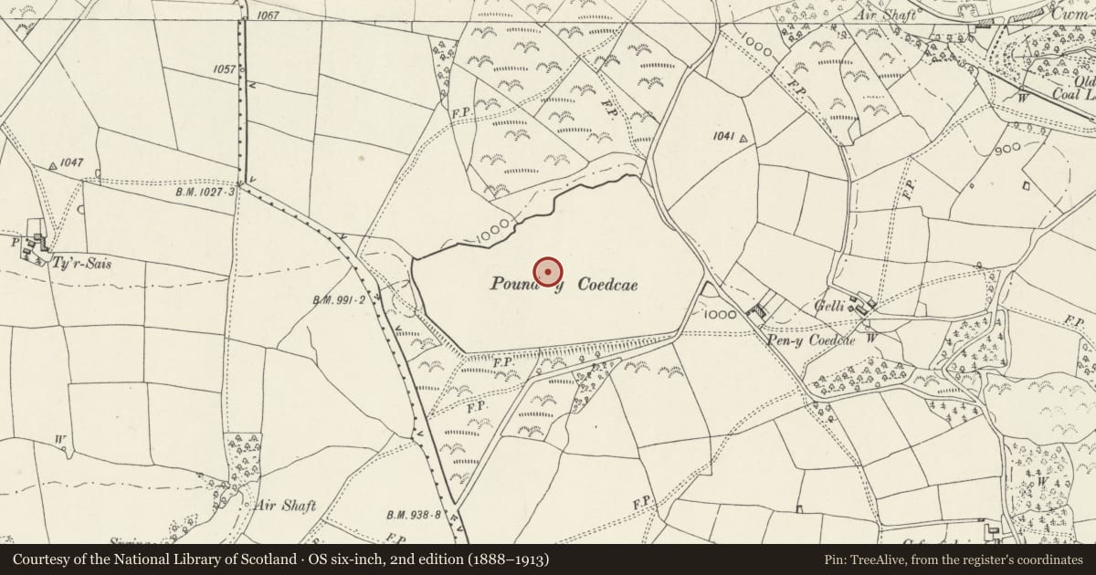 Ordnance Survey six-inch map, 2nd edition (1888–1913) covering the location of Pen y Fan Canal Reservoir, Crumlin, Caerphilly, with a pin at the register's coordinates