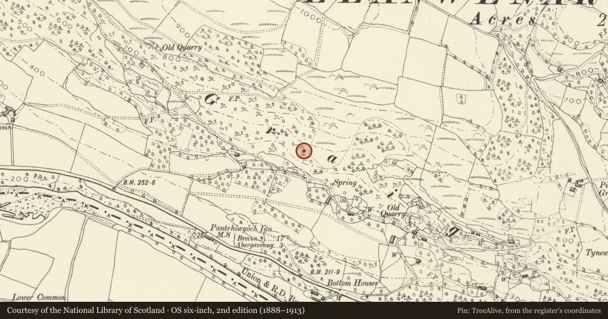 Ordnance Survey six-inch map, 2nd edition (1888–1913) covering the location of The Graig Settlement, Llanfoist Fawr, Monmouthshire, with a pin at the register's coordinates