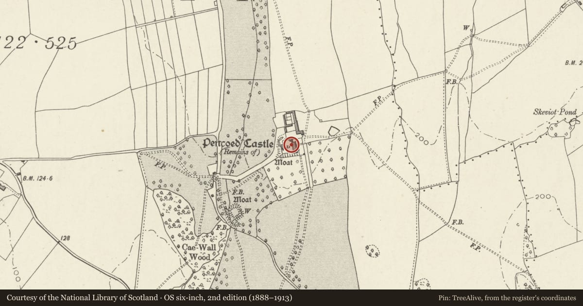Ordnance Survey six-inch map, 2nd edition (1888–1913) covering the location of Pencoed Castle, Langstone, Newport, with a pin at the register's coordinates