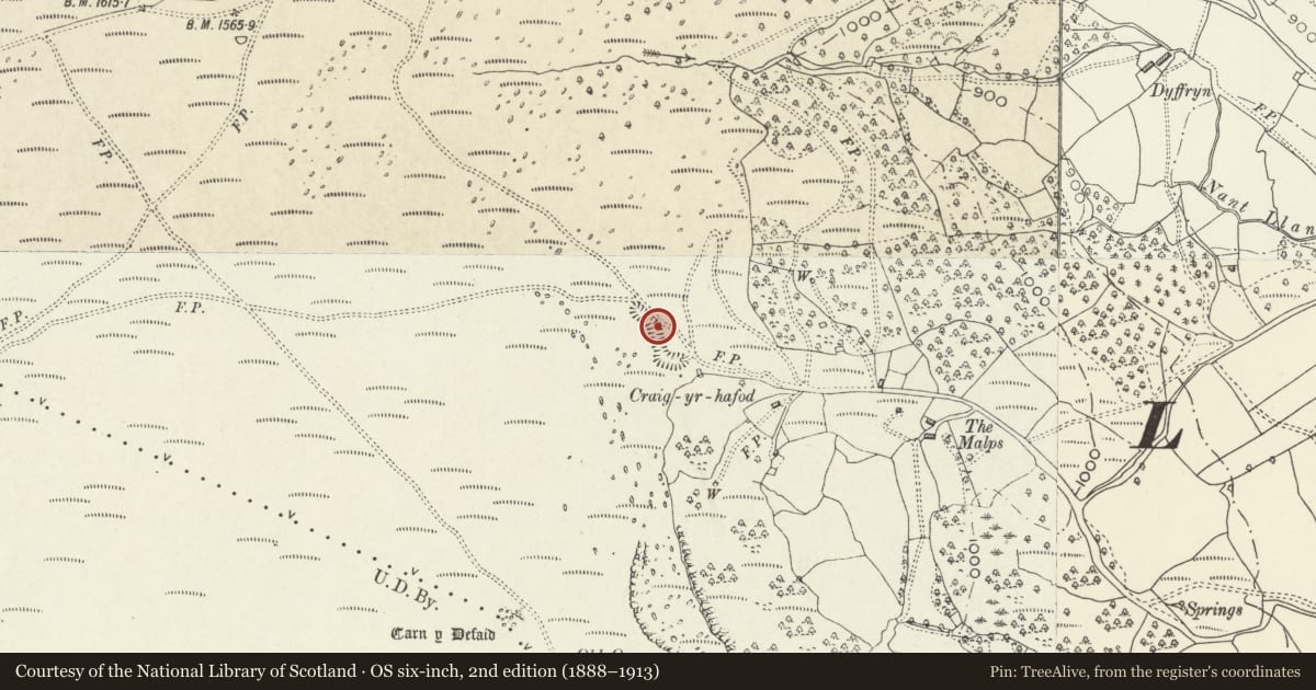 Ordnance Survey six-inch map, 2nd edition (1888–1913) covering the location of Limekiln and Quarries at Craig-yr-Hafod, Llanfoist Fawr, Monmouthshire, with a pin at the register's coordinates