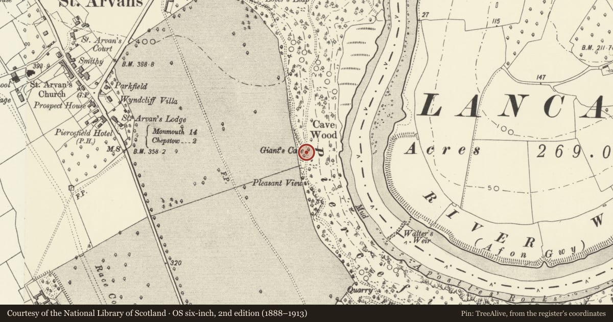 Ordnance Survey six-inch map, 2nd edition (1888–1913) covering the location of The Giant's Cave, Piercefield, St. Arvans, Monmouthshire, with a pin at the register's coordinates