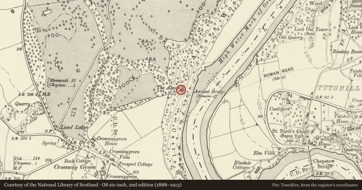 Ordnance Survey six-inch map, 2nd edition (1888–1913) covering the location of The Alcove, Piercefield, St. Arvans, Monmouthshire, with a pin at the register's coordinates