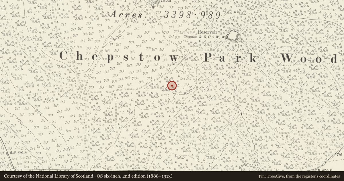 Ordnance Survey six-inch map, 2nd edition (1888–1913) covering the location of Chepstow Park Wood Cairn, Devauden, Monmouthshire, with a pin at the register's coordinates