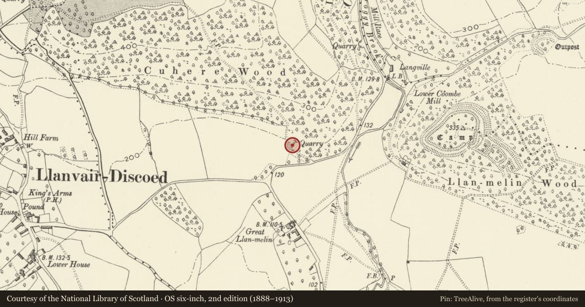 Ordnance Survey six-inch map, 2nd edition (1888–1913) covering the location of Cewere Quarry and Limekiln, Llanvair-Discoed, Caerwent, Monmouthshire, with a pin at the register's coordinates