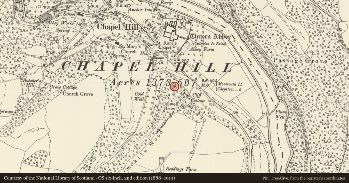 Ordnance Survey six-inch map, 2nd edition (1888–1913) covering the location of Colwell Grove Limekiln and Quarry, Tintern, Wye Valley, Monmouthshire, with a pin at the register's coordinates