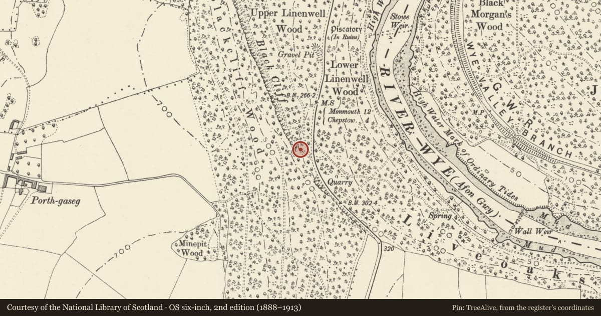 Ordnance Survey six-inch map, 2nd edition (1888–1913) covering the location of Blackcliff Wood Limekiln, Wye Valley, Monmouthshire, with a pin at the register's coordinates