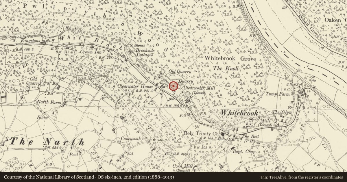 Ordnance Survey six-inch map, 2nd edition (1888–1913) covering the location of Clearwater Paper Mill, Trellech United, Monmouthshire, with a pin at the register's coordinates