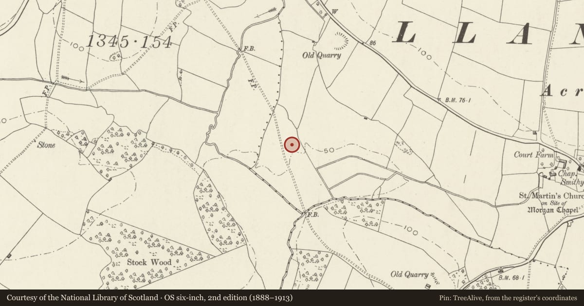 Ordnance Survey six-inch map, 2nd edition (1888–1913) covering the location of Ford Farm Roman Villa, Langstone, Newport, with a pin at the register's coordinates