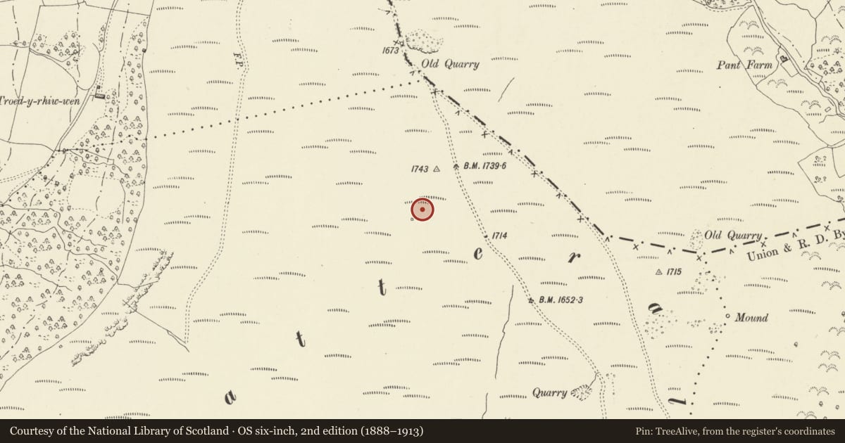 Ordnance Survey six-inch map, 2nd edition (1888–1913) covering the location of Garreg Las Round Cairns, Crucorney, Monmouthshire, with a pin at the register's coordinates
