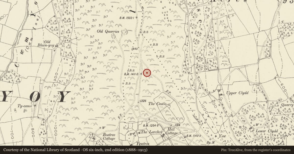 Ordnance Survey six-inch map, 2nd edition (1888–1913) covering the location of Three Wells Round Cairn, Crucorney, Monmouthshire, with a pin at the register's coordinates