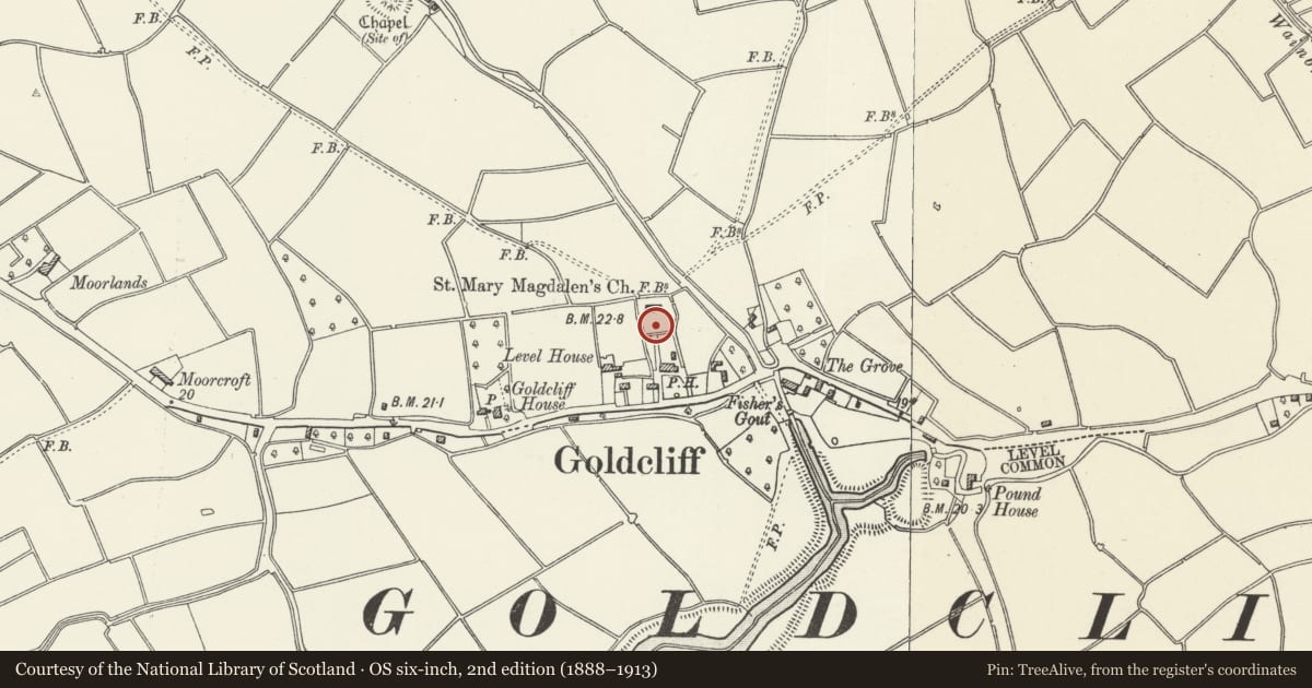 Ordnance Survey six-inch map, 2nd edition (1888–1913) covering the location of St. Mary Magdalene's Churchyard Cross, Goldcliff, Newport, with a pin at the register's coordinates