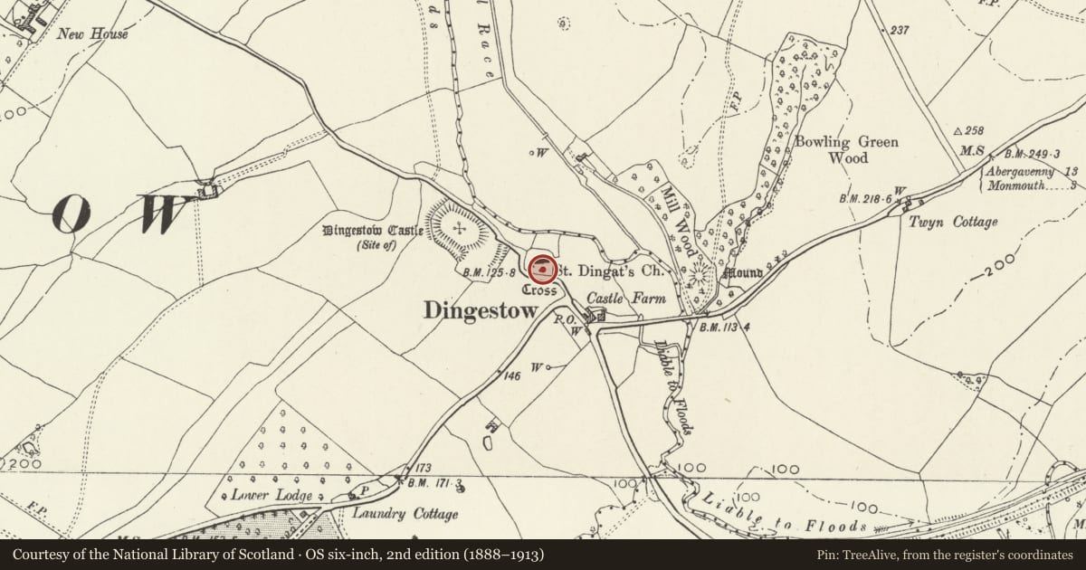 Ordnance Survey six-inch map, 2nd edition (1888–1913) covering the location of St. Dingad's Churchyard Cross, Dingestow, Mitchel Troy, Monmouthshire, with a pin at the register's coordinates