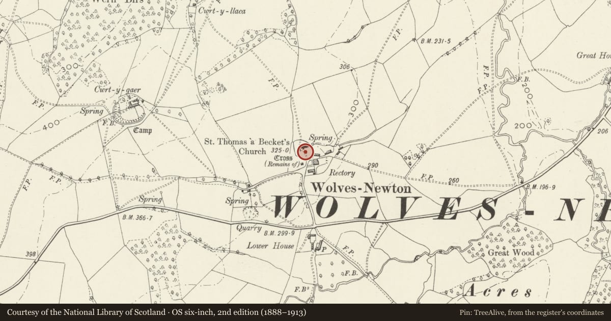 Ordnance Survey six-inch map, 2nd edition (1888–1913) covering the location of St. Thomas a Becket's Churchyard Cross, Wolvesnewton, Devauden, Monmouthshire, with a pin at the register's coordinates