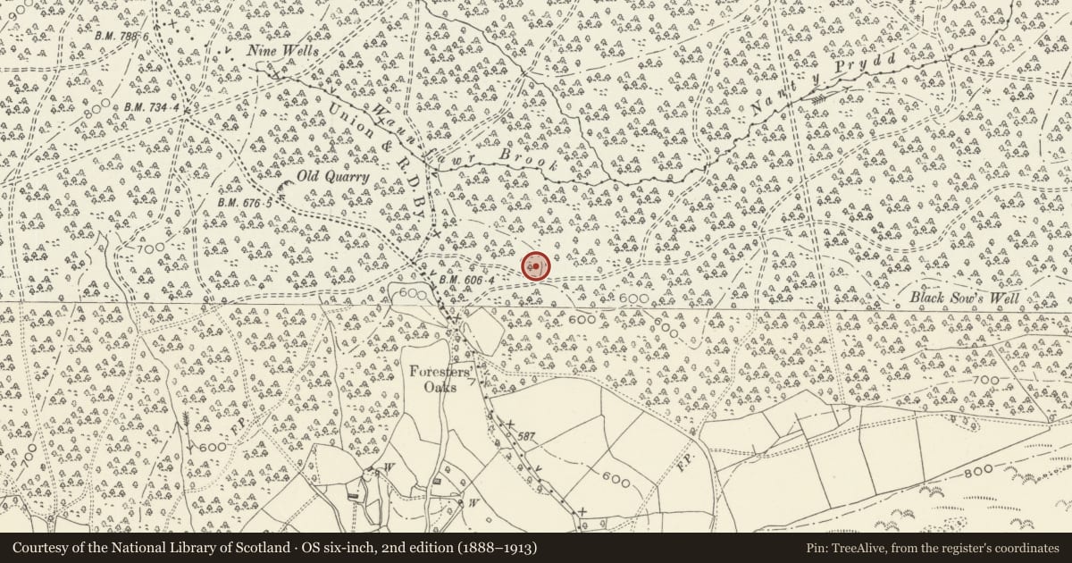 Ordnance Survey six-inch map, 2nd edition (1888–1913) covering the location of Foresters' Oaks round barrow, Caerwent, Monmouthshire, with a pin at the register's coordinates