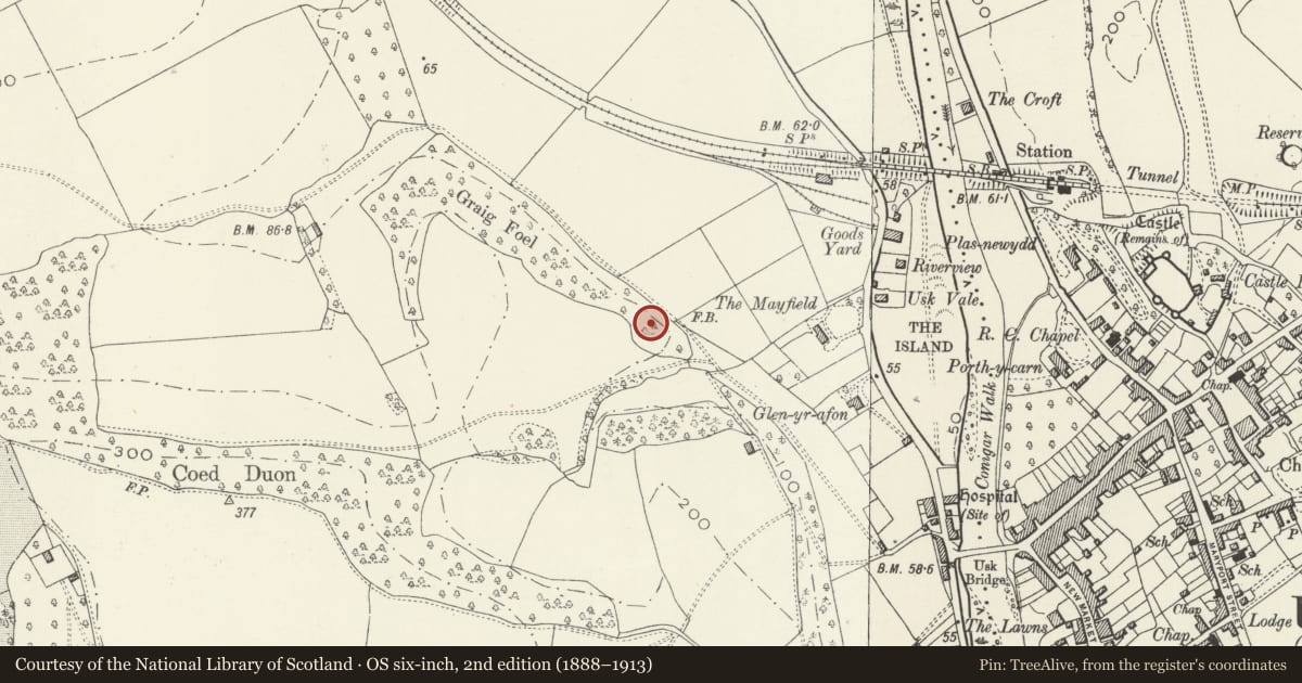 Ordnance Survey six-inch map, 2nd edition (1888–1913) covering the location of Graig Foel medieval ringwork, Llanbadoc, Monmouthshire, with a pin at the register's coordinates
