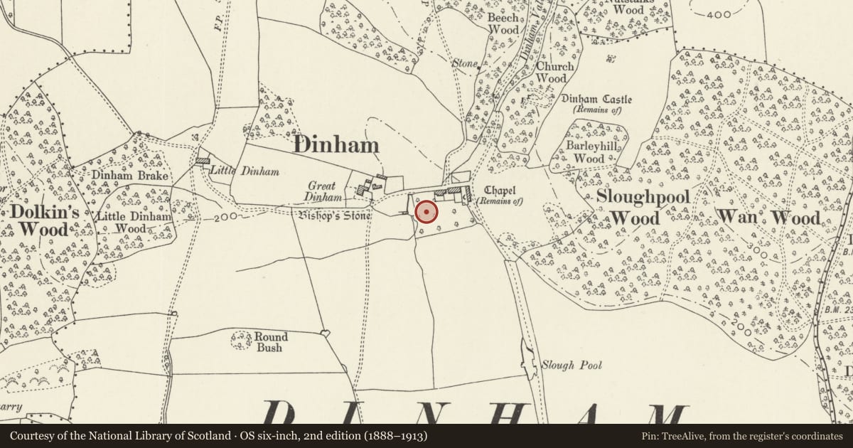 Ordnance Survey six-inch map, 2nd edition (1888–1913) covering the location of Royal Naval Propellant Factory Guided Weapons Scheme Static Firing Bay, Caerwent, Monmouthshire, with a pin at the register's coordinates