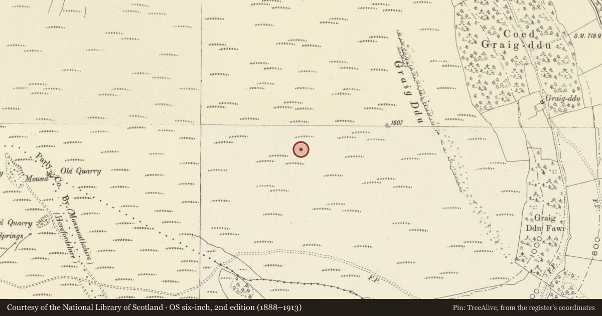 Ordnance Survey six-inch map, 2nd edition (1888–1913) covering the location of Graig Ddu round cairn, Crucorney, Monmouthshire, with a pin at the register's coordinates