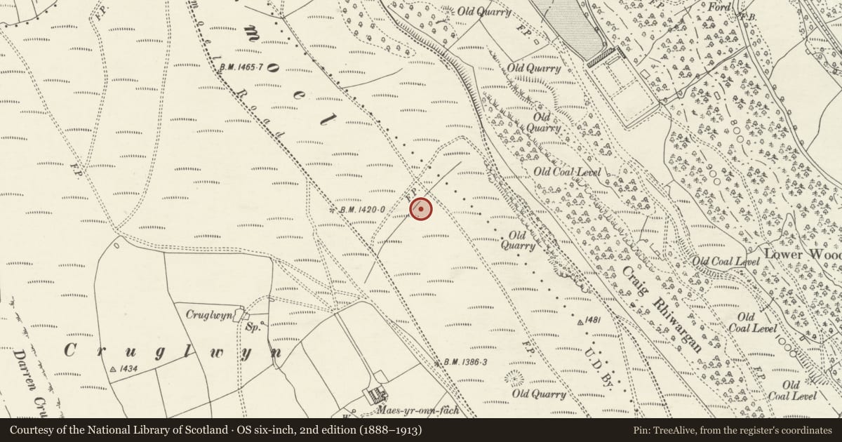 Ordnance Survey six-inch map, 2nd edition (1888–1913) covering the location of Cefn Man Moel cross-ridge dyke, Cwm, Caerphilly, with a pin at the register's coordinates