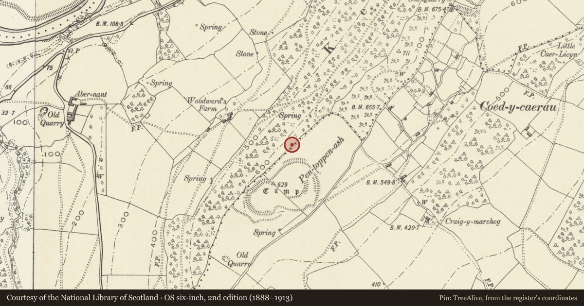 Ordnance Survey six-inch map, 2nd edition (1888–1913) covering the location of Coed y Caerau Auxiliary Unit Operational Base, Langstone, Newport, with a pin at the register's coordinates