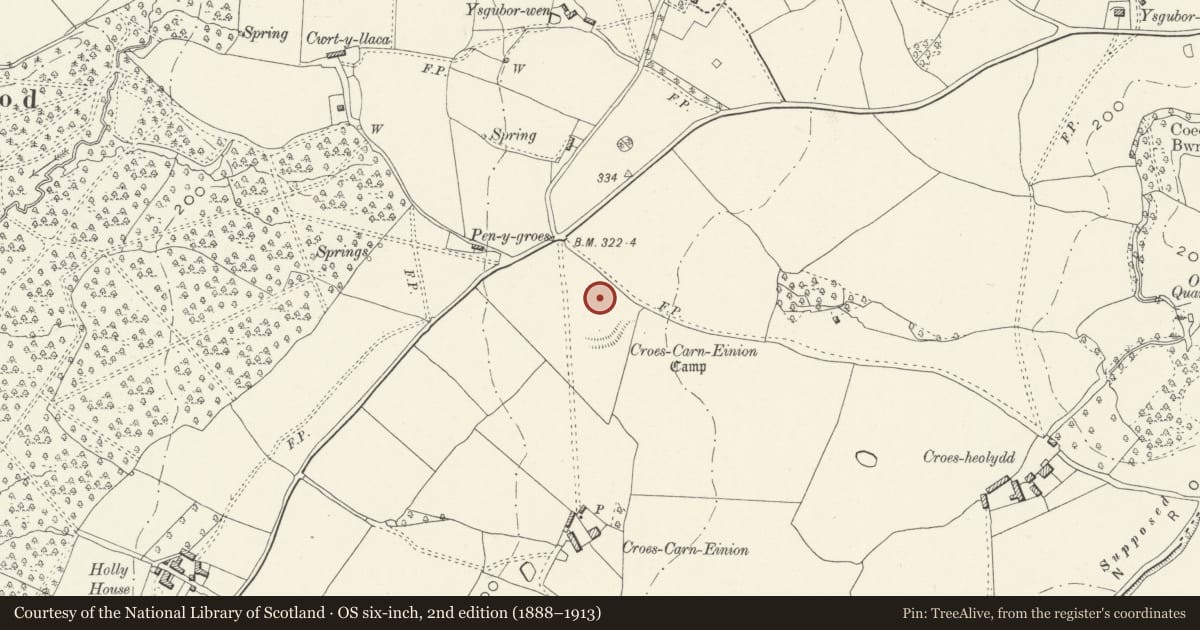 Ordnance Survey six-inch map, 2nd edition (1888–1913) covering the location of Croes Carn Einion Roman Site, Graig, Newport, with a pin at the register's coordinates