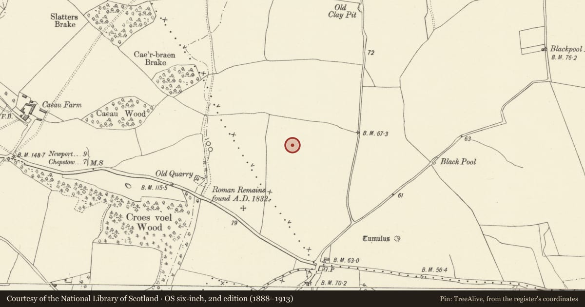 Ordnance Survey six-inch map, 2nd edition (1888–1913) covering the location of Five Lanes Roman Site, Caerwent, Monmouthshire, with a pin at the register's coordinates