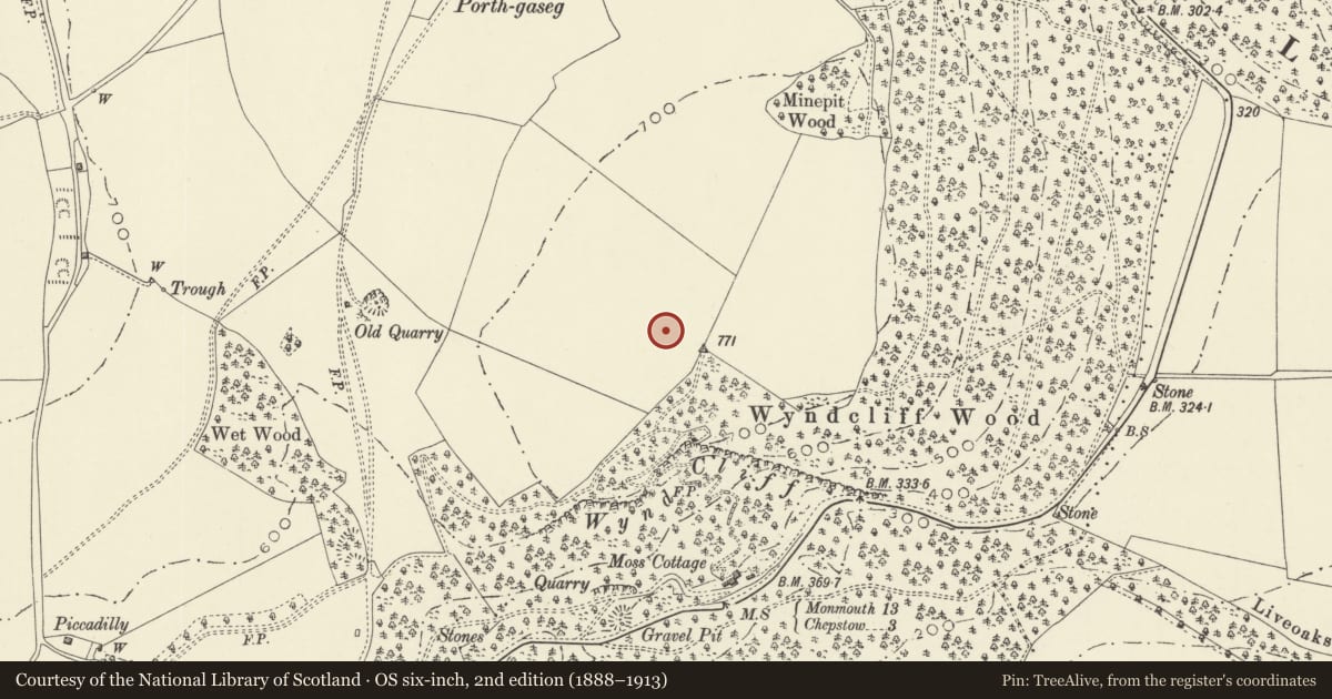 Ordnance Survey six-inch map, 2nd edition (1888–1913) covering the location of Wyndcliff Roman Site, St. Arvans, Monmouthshire, with a pin at the register's coordinates