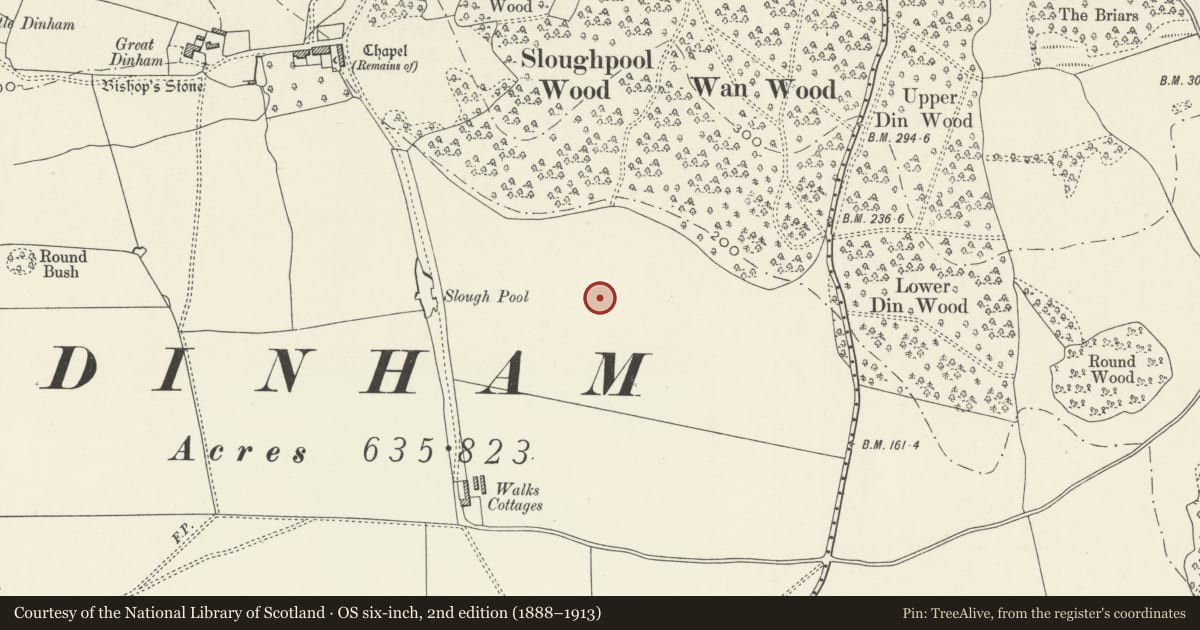 Ordnance Survey six-inch map, 2nd edition (1888–1913) covering the location of Royal Naval Propellant Factory Caerwent Nitro-glycerine Hill, Monmouthshire, with a pin at the register's coordinates