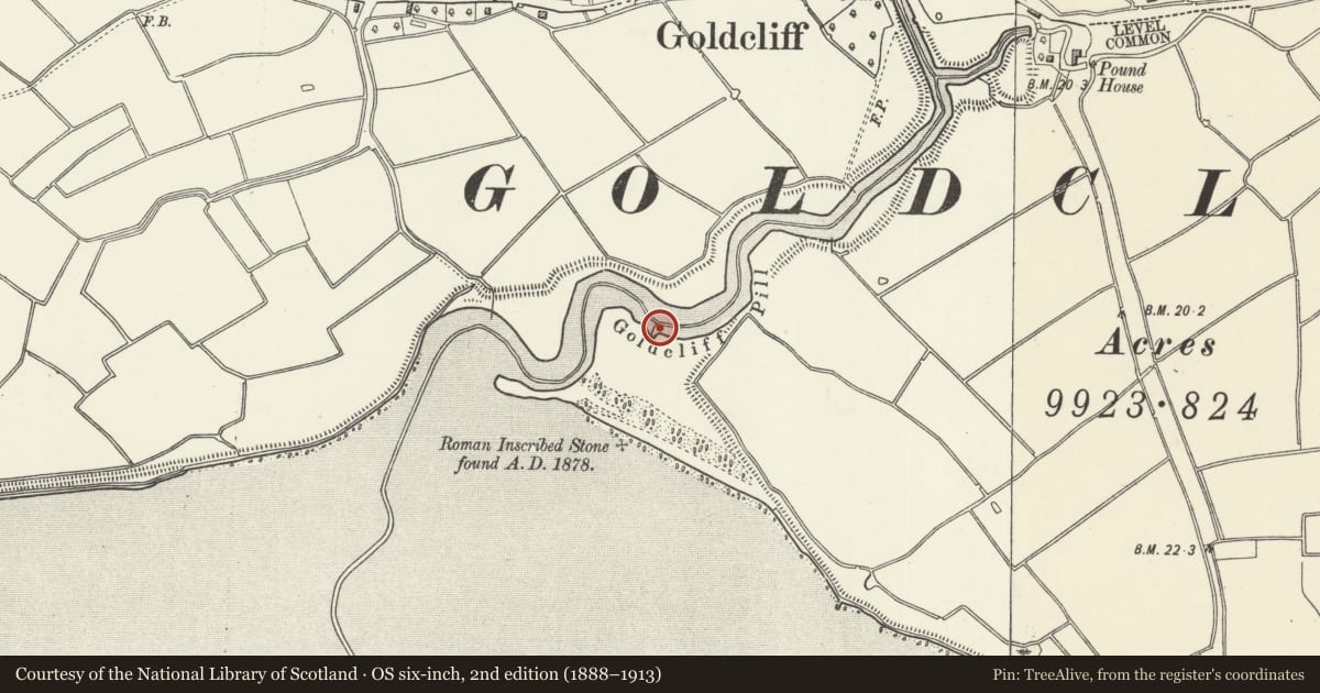 Ordnance Survey six-inch map, 2nd edition (1888–1913) covering the location of Goldcliff Pill Anti-invasion Defences, Newport, with a pin at the register's coordinates
