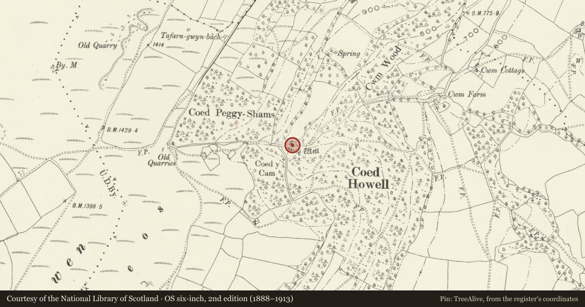 Ordnance Survey six-inch map, 2nd edition (1888–1913) covering the location of Ffynnon Angoeron Holy Well, Goetre Fawr, Monmouthshire, with a pin at the register's coordinates