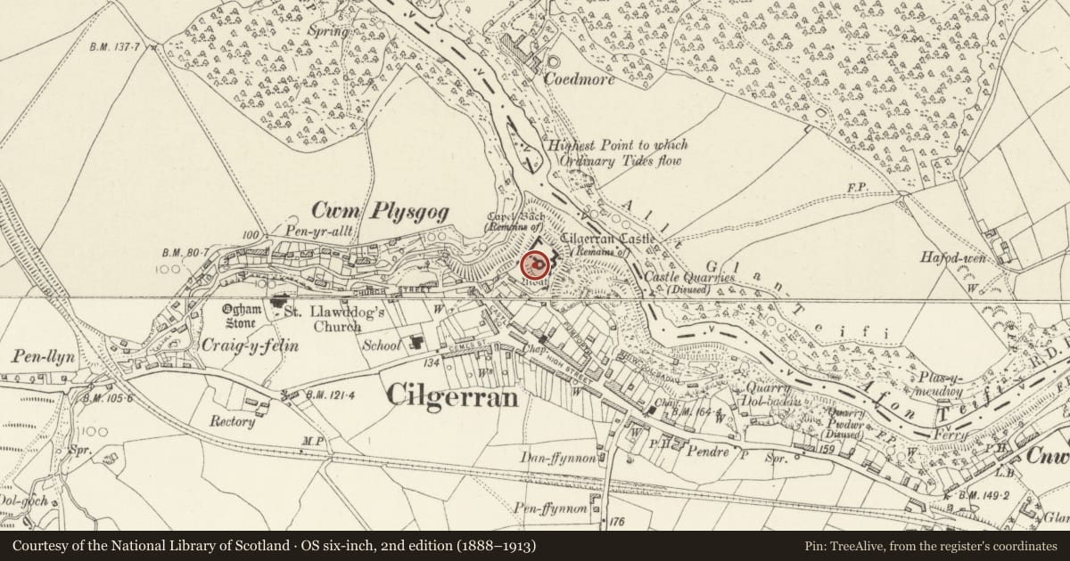 Ordnance Survey six-inch map, 2nd edition (1888–1913) covering the location of Castell Cilgerran, Pembrokeshire, with a pin at the register's coordinates
