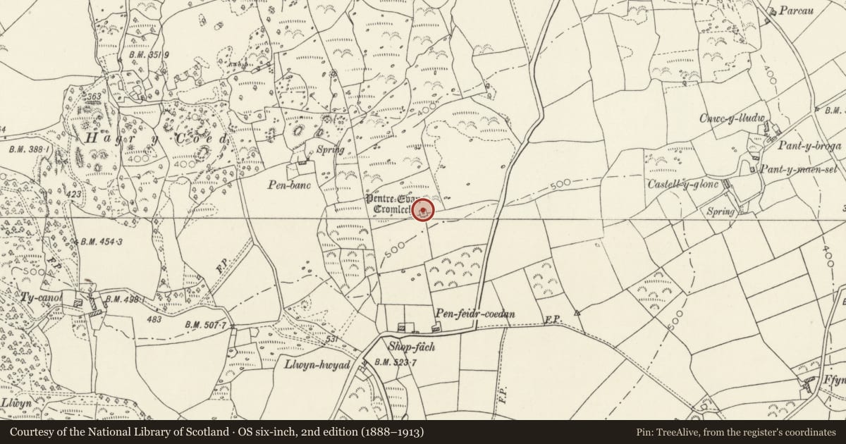 Ordnance Survey six-inch map, 2nd edition (1888–1913) covering the location of Pentre Ifan Chambered Tomb, Nevern, Pembrokeshire, with a pin at the register's coordinates