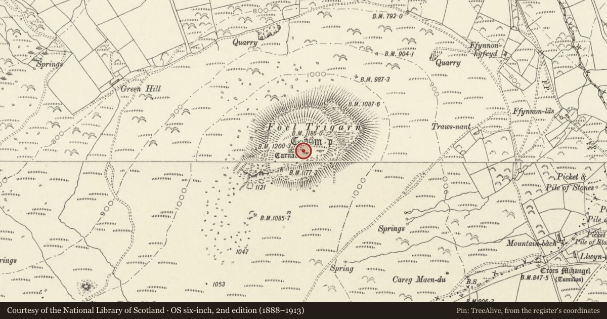 Ordnance Survey six-inch map, 2nd edition (1888–1913) covering the location of Foel Drygarn Camp, Crymych, Pembrokeshire, with a pin at the register's coordinates