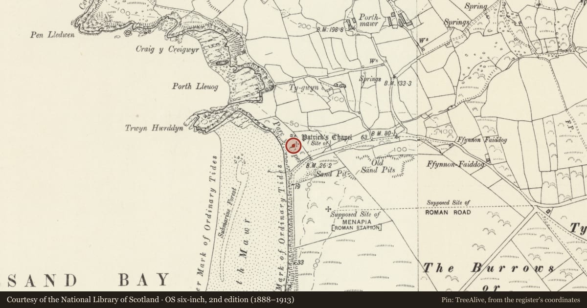 Ordnance Survey six-inch map, 2nd edition (1888–1913) covering the location of St Patrick's Chapel, St. David's and the Cathedral Close, Pembrokeshire, with a pin at the register's coordinates