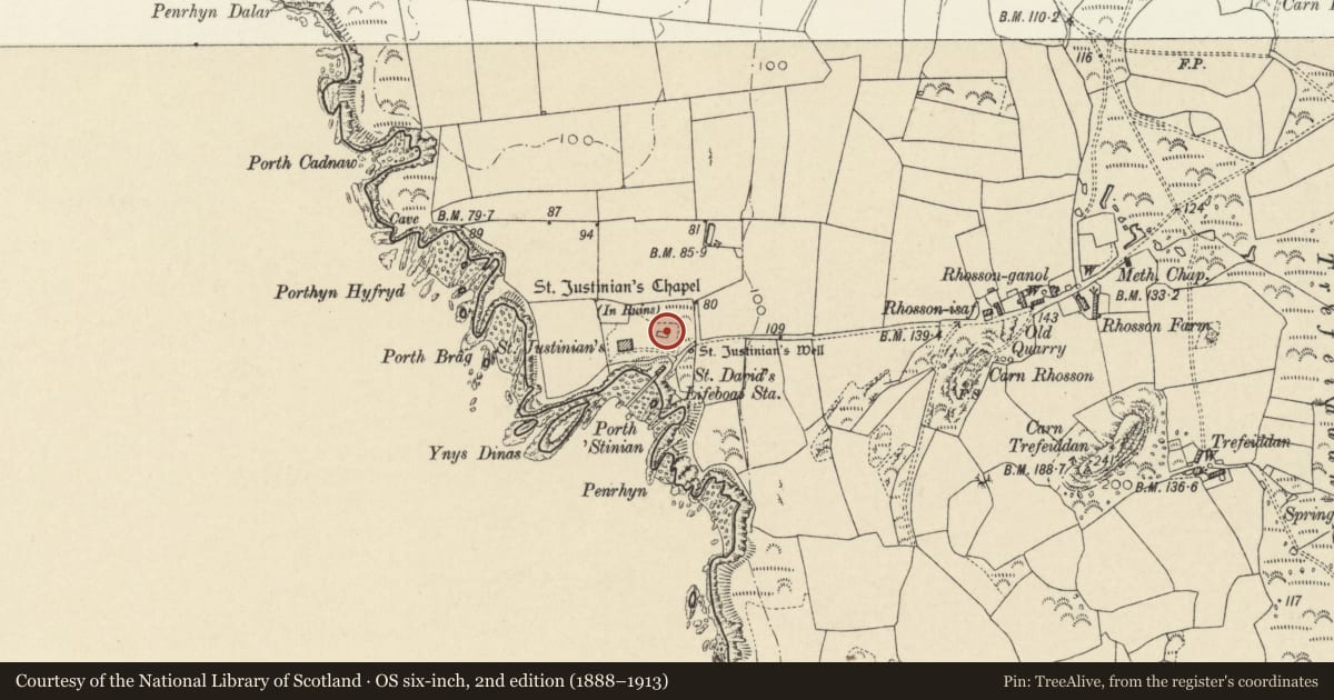 Ordnance Survey six-inch map, 2nd edition (1888–1913) covering the location of St Justinian's Chapel, St. David's and the Cathedral Close, Pembrokeshire, with a pin at the register's coordinates