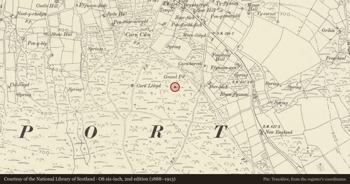 Ordnance Survey six-inch map, 2nd edition (1888–1913) covering the location of Carn Ingli Round Barrows, Newport, Pembrokeshire, with a pin at the register's coordinates