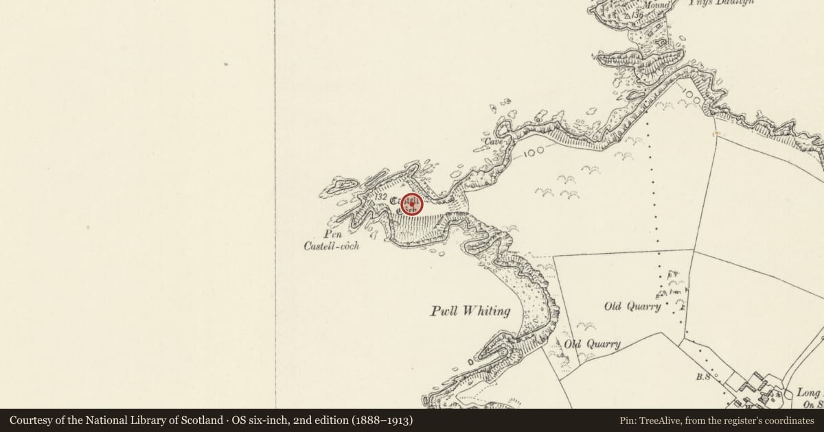 Ordnance Survey six-inch map, 2nd edition (1888–1913) covering the location of Castell Coch Promontory Fort, Llanrhian, Pembrokeshire, with a pin at the register's coordinates