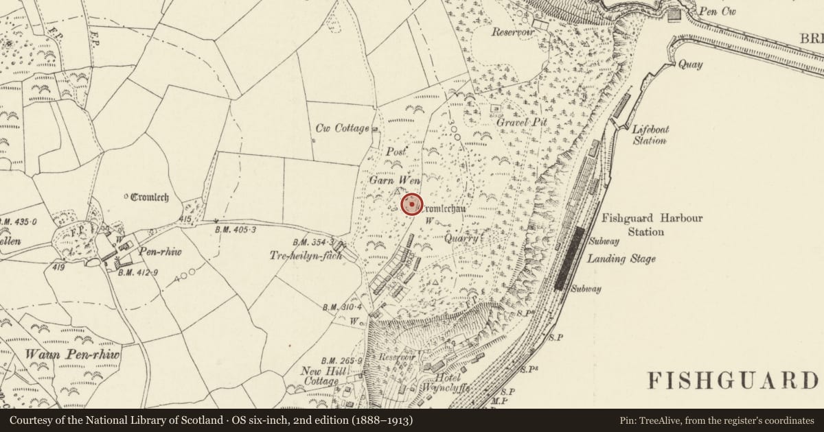 Ordnance Survey six-inch map, 2nd edition (1888–1913) covering the location of Garn Wen Burial Chambers, Fishguard and Goodwick, Pembrokeshire, with a pin at the register's coordinates