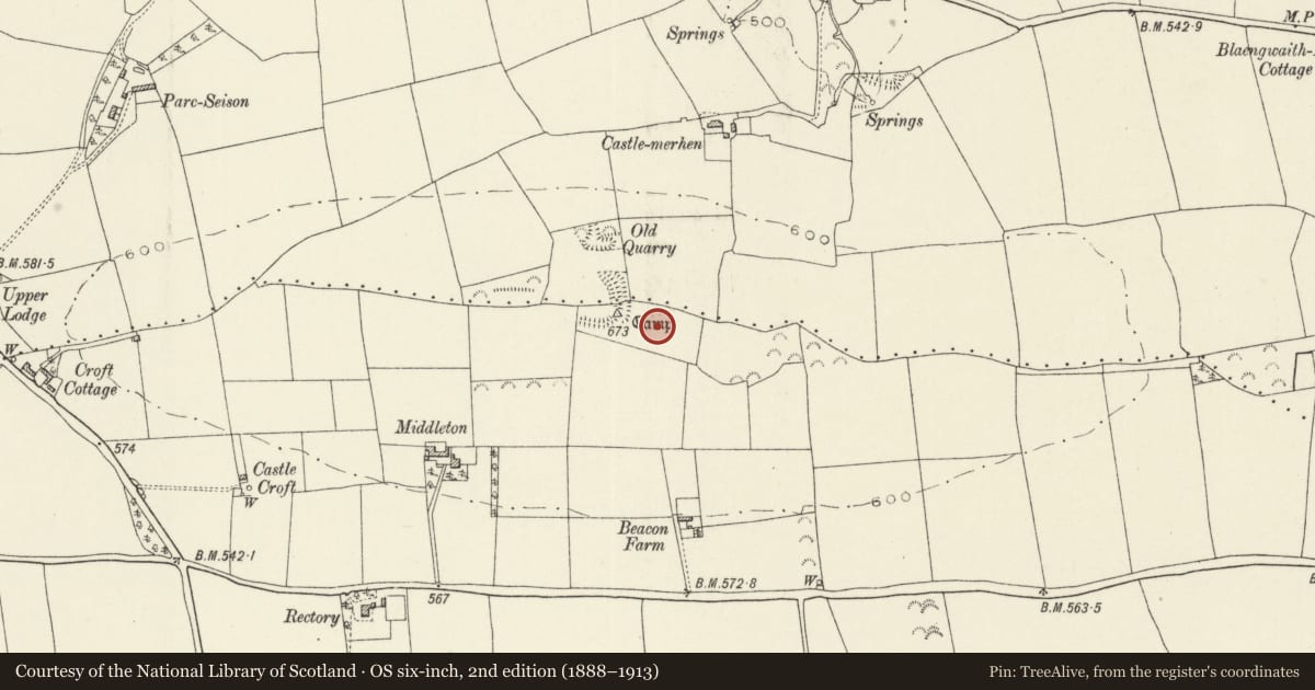 Ordnance Survey six-inch map, 2nd edition (1888–1913) covering the location of Castell Meherin Camps, Lampeter Velfrey, Pembrokeshire, with a pin at the register's coordinates