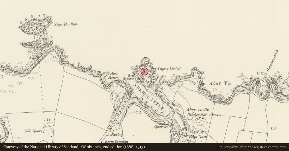 Ordnance Survey six-inch map, 2nd edition (1888–1913) covering the location of Ynys y Castell, Mathry, Pembrokeshire, with a pin at the register's coordinates