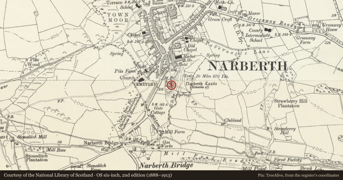 Ordnance Survey six-inch map, 2nd edition (1888–1913) covering the location of Narberth Castle, Pembrokeshire, with a pin at the register's coordinates