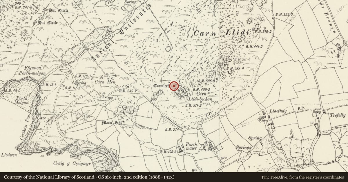 Ordnance Survey six-inch map, 2nd edition (1888–1913) covering the location of Carn Llidi Burial Chambers, St. David's and the Cathedral Close, Pembrokeshire, with a pin at the register's coordinates