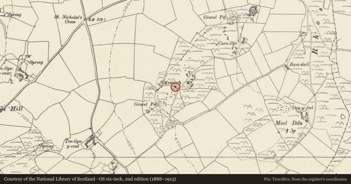 Ordnance Survey six-inch map, 2nd edition (1888–1913) covering the location of Trefflys Burial Chamber, Pencaer, Pembrokeshire, with a pin at the register's coordinates