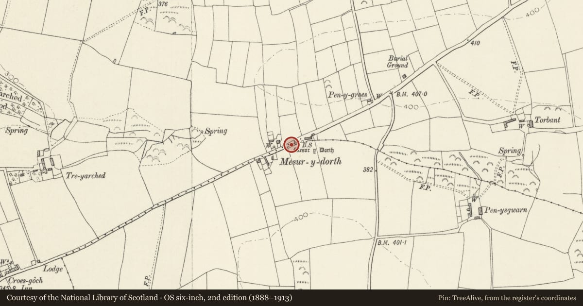 Ordnance Survey six-inch map, 2nd edition (1888–1913) covering the location of Mesur-y-Dorth Cross-Incised Stone, Llanrhian, Pembrokeshire, with a pin at the register's coordinates