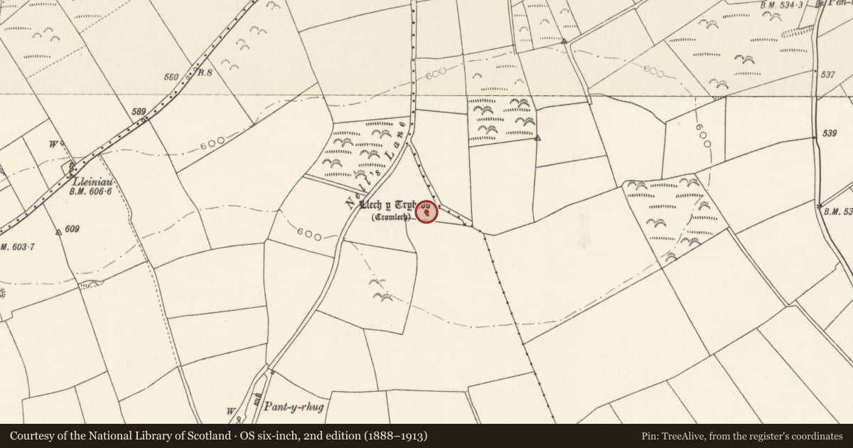 Ordnance Survey six-inch map, 2nd edition (1888–1913) covering the location of Llech-y-Tribedd Burial Chamber, Nevern, Pembrokeshire, with a pin at the register's coordinates